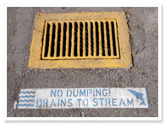 Prevent Stormwater Pollution