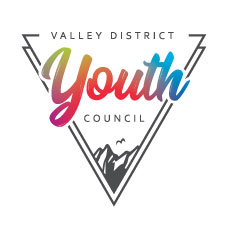 VDYC-logo