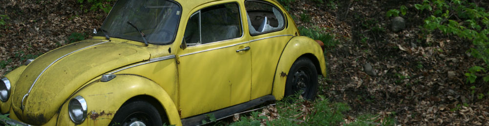 Abandoned Vehicles