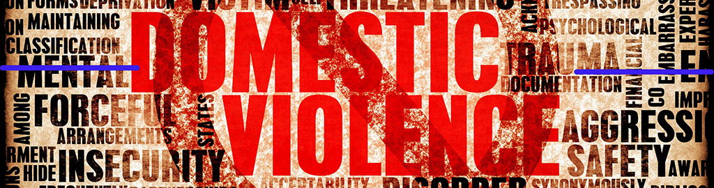 Domestic Violence incident
