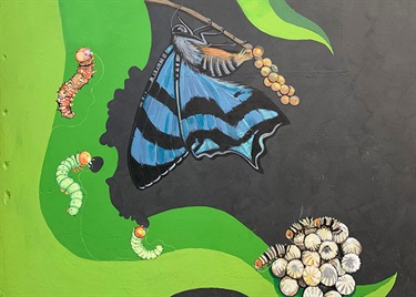 butterfly-1.jpg