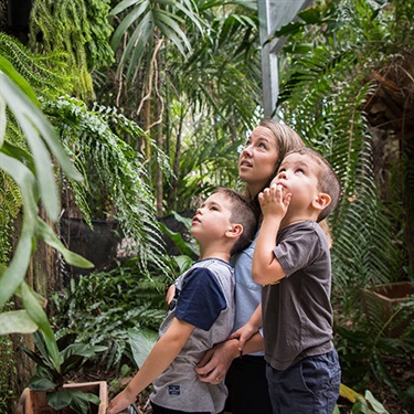 Botanic-Gardens-family.jpg
