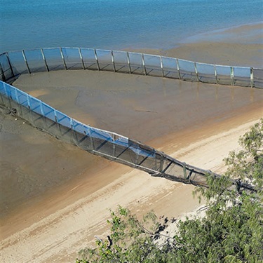 McEwens-beach net