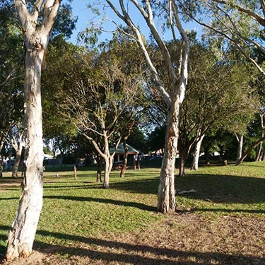 Robb-Place-Park-2.jpg