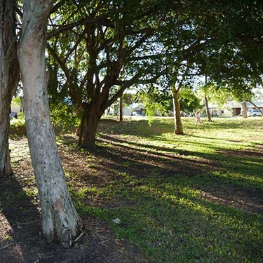 Robb-Place-Park-3.jpg