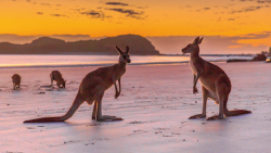 Mackay Tourism
