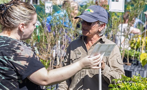 native-plant-giveaway.jpg