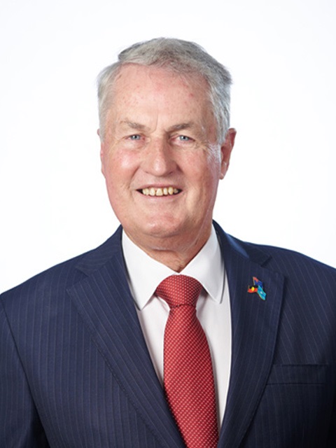 Mayor Greg Williamson